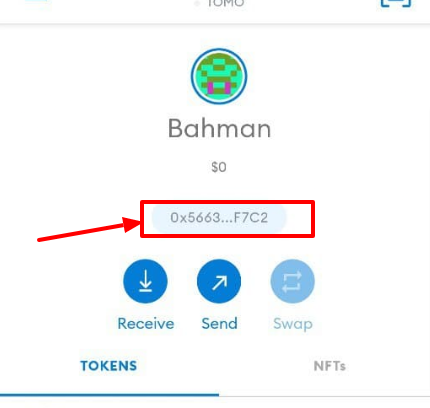 UshTak